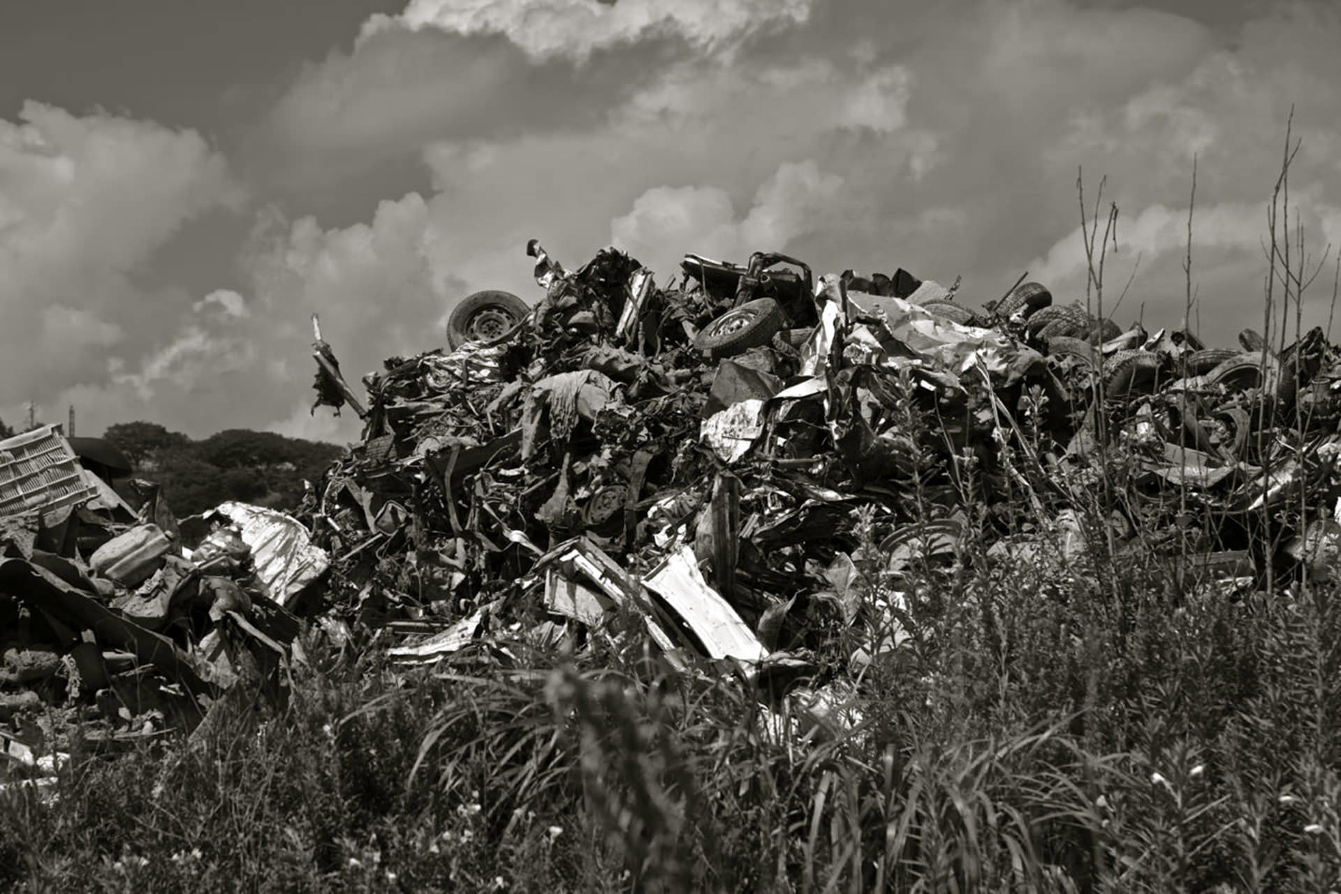 Rubble of mountain slide into weathered