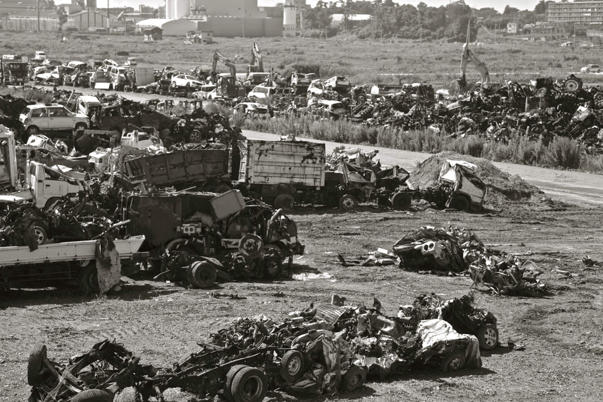 Graveyard of cars