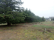 Ishinomaki-Takara Nursery School Construction. August 2015 Planned construction site.
